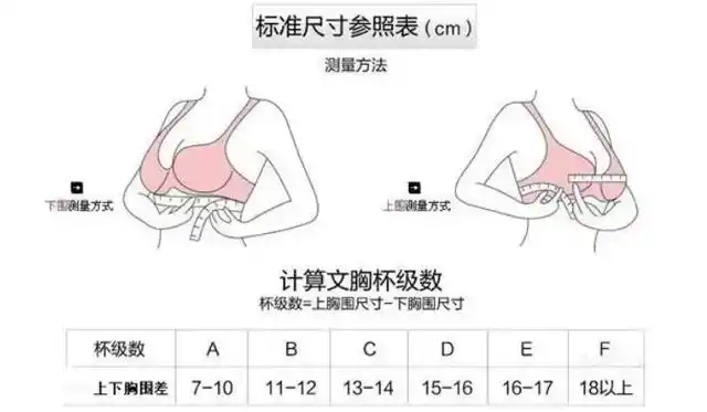 e杯的胸围大概多少