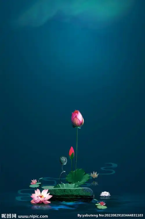 荷塘月色禅意静心背景