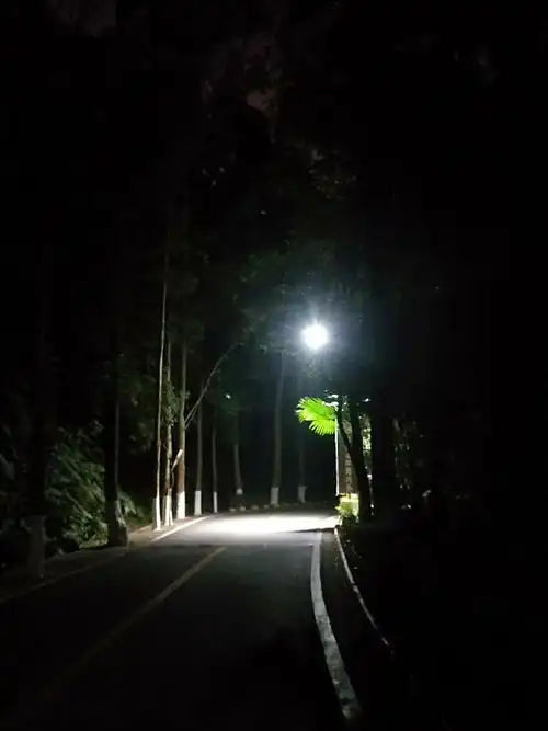 南沙宅家的日子