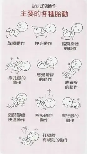 胎动是什么感觉