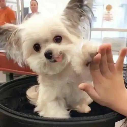 对象不是人系列情头  #情头  #优质情头  #搞怪情头