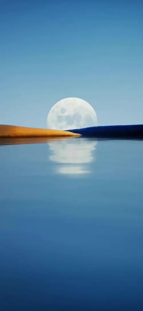 手机壁纸026102华为p50pocket内置