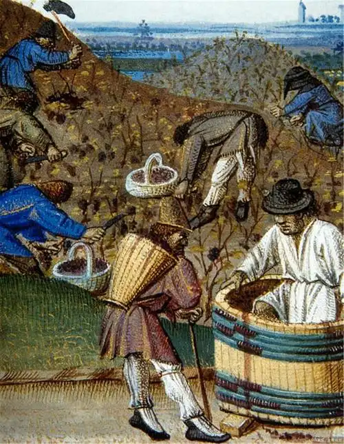 欧洲中世纪的农民(来自百家号)