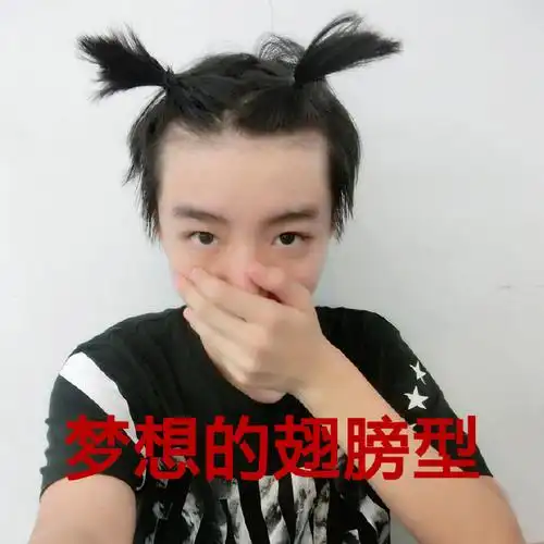 王俊凯头上扎辫子一根还是两根好