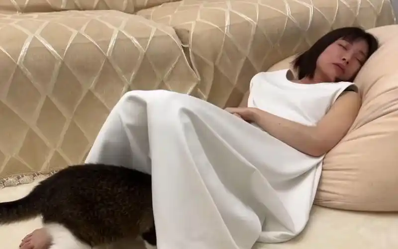 妈妈喝醉了,猫咪为所欲为