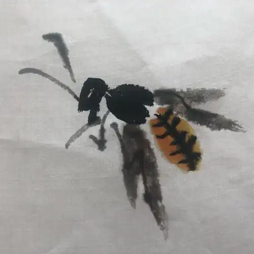 杨秀华国画网络课第十一节《蜜蜂的画法》 写美篇杨秀华 中国工笔画