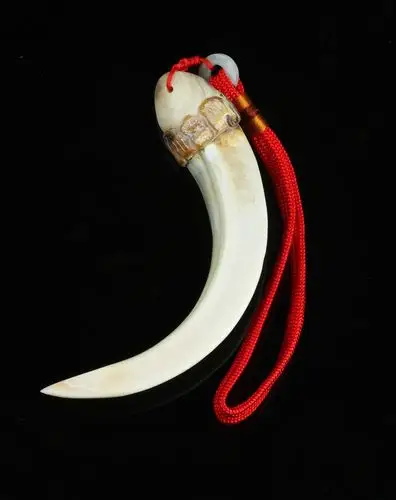 精选天然野猪牙把件/挂饰!弯月