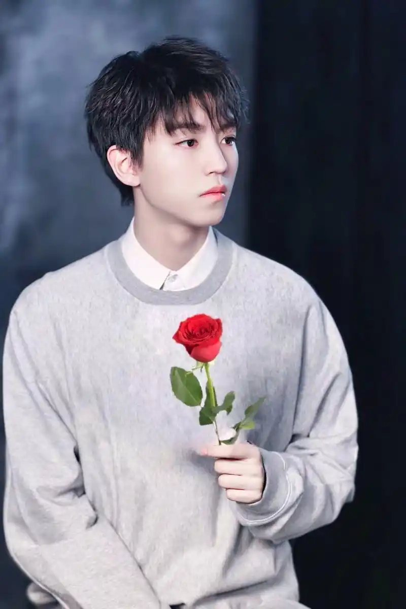 玫瑰虽有刺,但它拿在了喜欢的人手上,一组王俊凯与玫瑰的图!