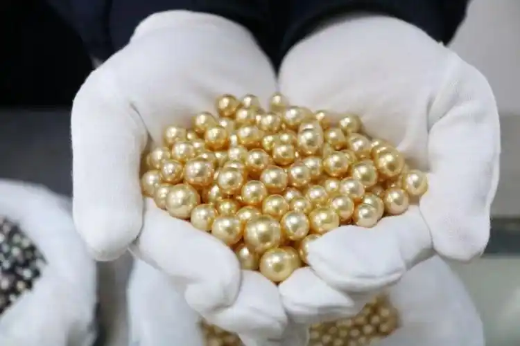 总价值约362万元人民币一跨境客车携带大量未申报珍珠被查