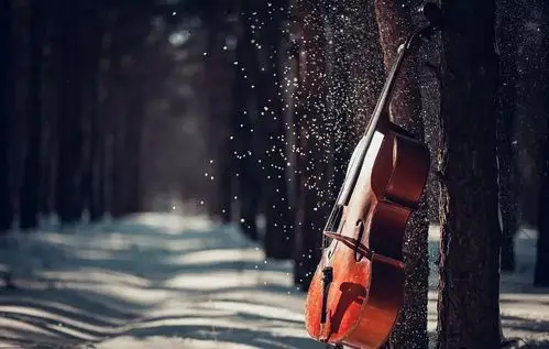 fun我喜欢大提琴只因为这5个字5首大提琴经典名作