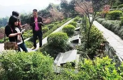 张国荣豪华墓地面积100平安装红外线如今葬着素不相识的他