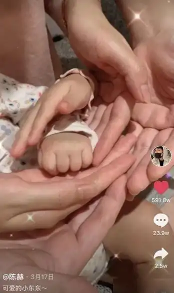 今年3月17日,陈赫张子萱夫妇正式官宣了二胎产女的喜讯,一家四口手叠