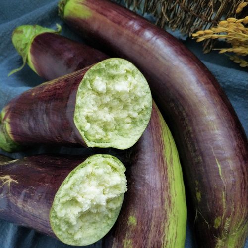 东北茄子新鲜蔬菜农家自种5斤当季面包茄长其它