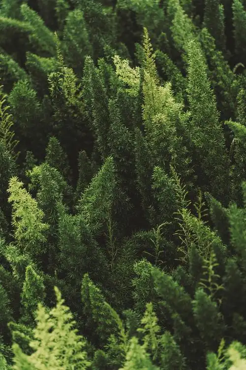 800_1200竖版 竖屏