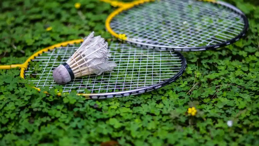 壁纸 羽毛球,球拍,草 3840x2160 uhd 4k 高清壁纸, 图片, 照片