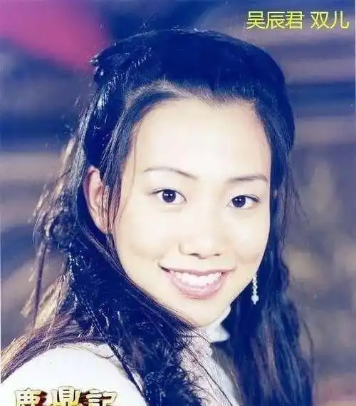 张卫健,《鹿鼎记》,韦小宝妻子的七个妻子有多漂亮?