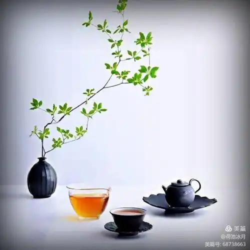 一茶一知己