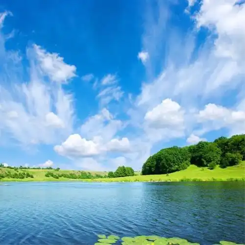 让人过目不忘的头像 高清好看高雅有气质的微信头像图片_微信头像