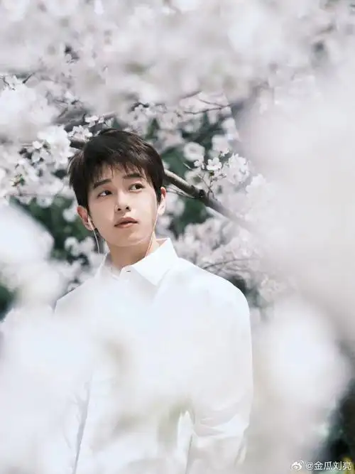 彭昱畅樱花树下的男大#好绝的春日写真,彭昱畅我真的会爱!