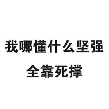 我哪懂什么坚强全靠死撑