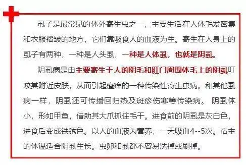"阴虱"竟然是大名鼎鼎,闻风丧胆的——竟然是它!原来是它!