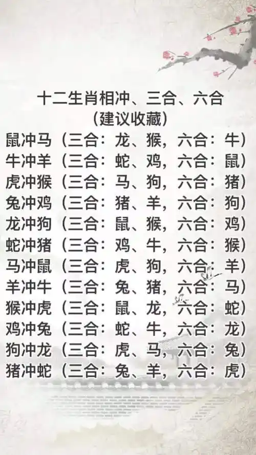 十二生肖相冲相合组合-情感视频-搜狐视频