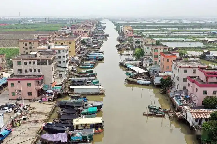 水清岸绿换新颜!南沙这条河涌即将华丽变身_万顷沙镇