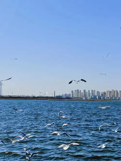 天津  #大海 #《飘》