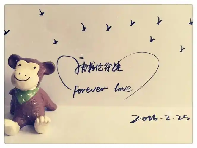 签名设计,情侣签名,个性签名,艺术签名