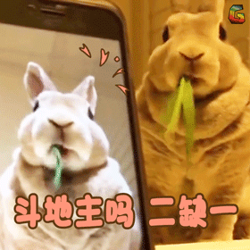 斗地主吗二缺一gif动图_动态图_表情包下载_soogif