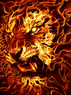 240_320竖版 竖屏gif 动态图 动图