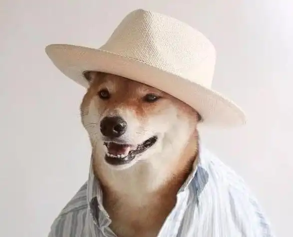 狗子男生头像要暖还得你狗哥狗暖话不多