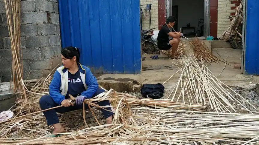 简单的农活(剥麻皮)也有技术含量,我却帮了倒忙浪费掉!