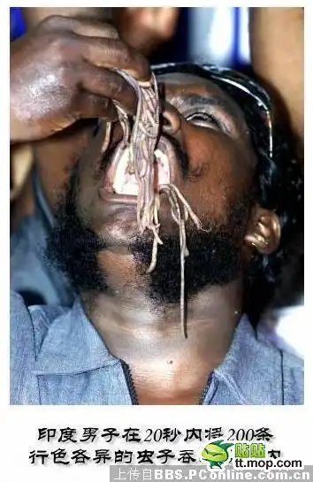 世界各国最恶心最残忍的吃法