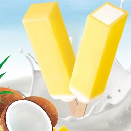 明治椰子菠萝雪糕10支装480g