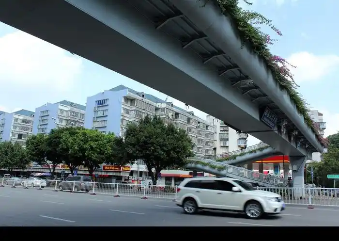 人行天桥下景观