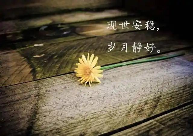 美好的句子说说心情最新励志早安正能量的句子