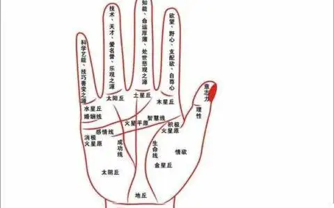 7日面相手相脸上的痣代表什么意思图解大全因为每个人的相貌各有不同