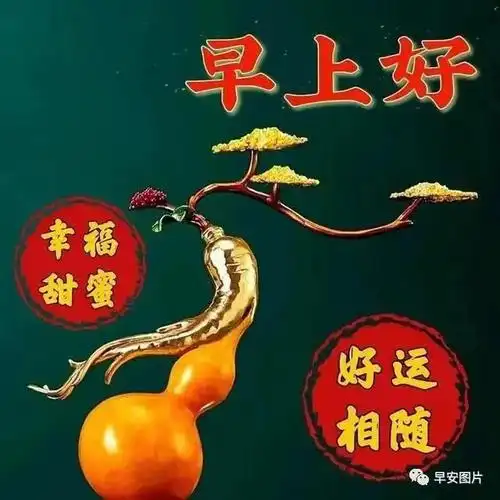 快乐|清晨|幸福|早上好_网易订阅
