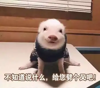猪猪不知道说什么给您劈个叉吧猪猪劈个知道什么表情