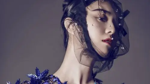 女神范冰冰气质写真高清桌面壁纸