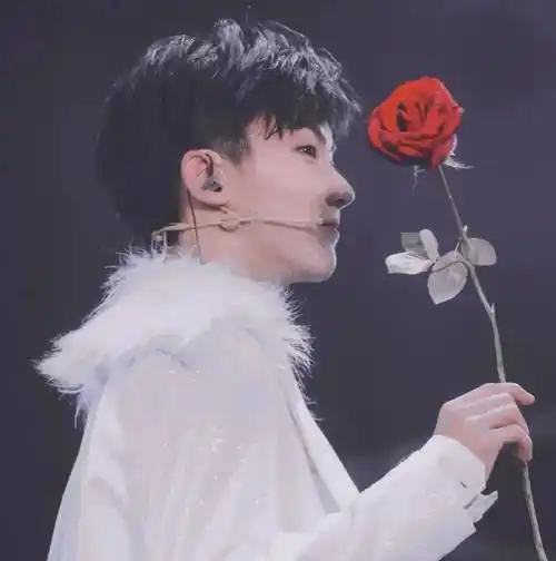 微信头像马嘉祺