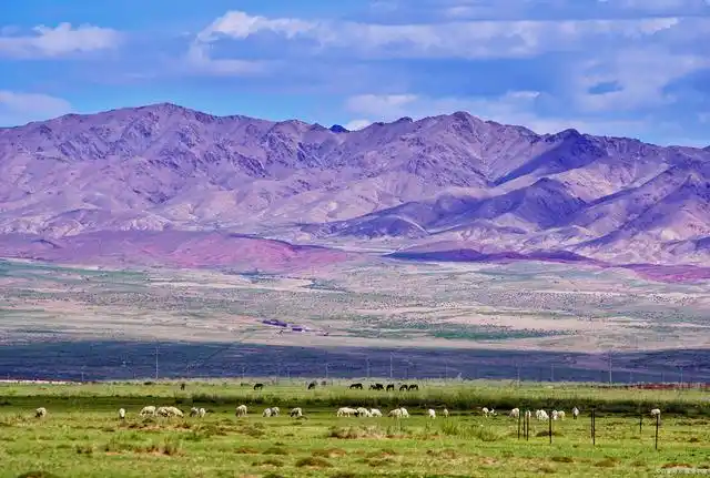 河套平原,是我国非常特殊的一个地方,四周被荒漠包围,仅有黄河穿越而
