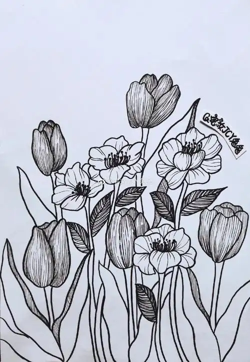 超经典线描范画,每张都是学习的好素材,收藏它们省了一笔材料费