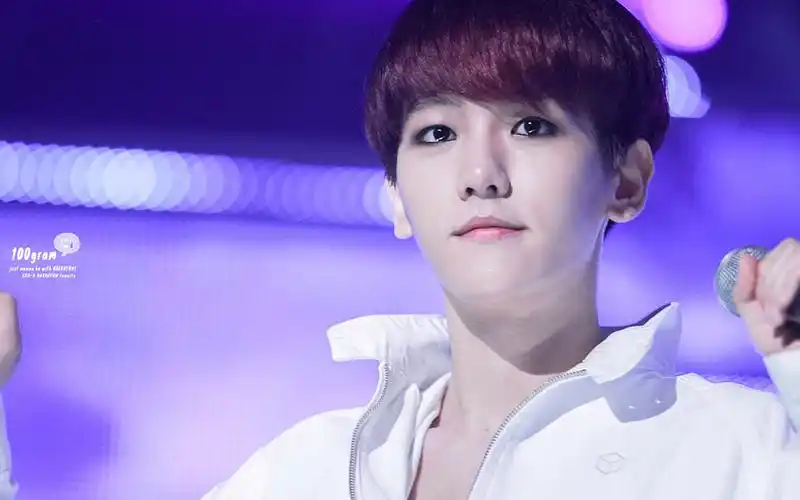 exok边伯贤,高清图片,电脑桌面-壁纸族