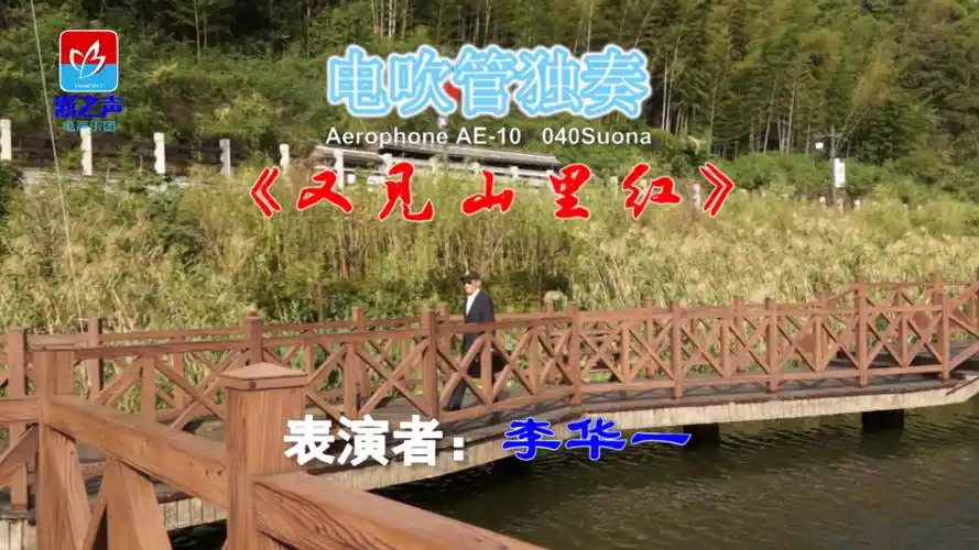 李华一电吹管独奏望春风mv