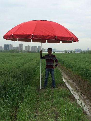 2米超大防风双层布太阳伞摆摊大伞庭院防雨伞