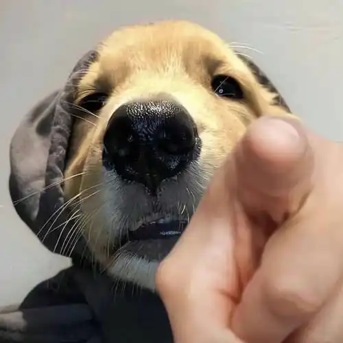 头像| 微信头像 好看的不得了!