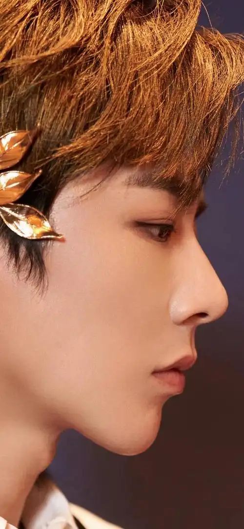 哥哥刘宇宁这张侧脸我我心中第一