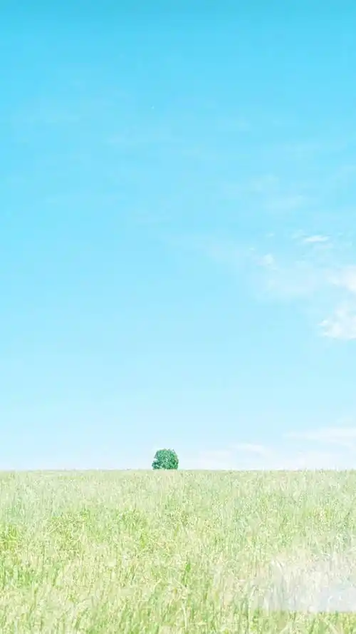 唯美图片意境个性意境唯美